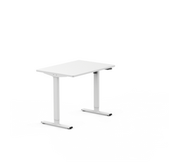 FlexiSpot E1 Standard Standing Desk