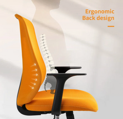 Ergonomic Office Chair OC15