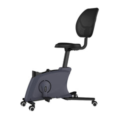 FlexiSpot F1 Sit2Go 2-in-1 Fitness Chair