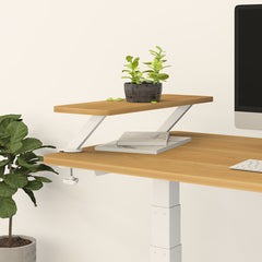 Flexispot Monitor Riser Stand DO03