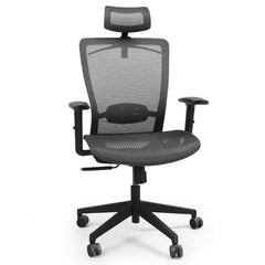 Flexispot Ergonomic Chair OC3