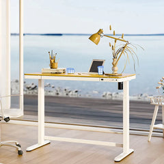 Comhar Standing Desk with Drawer