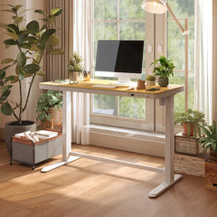 Comhar Standing Desk with Drawer