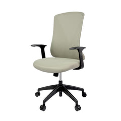 Flexispot Light Mesh Office Chair OC2