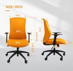 Ergonomic Office Chair OC15