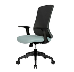 Ergonomic Office Chair OC15