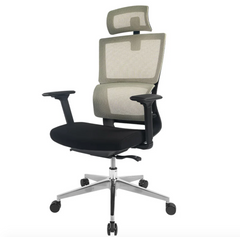 Ergonomic Office Chair BS2