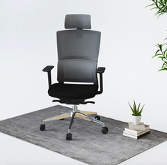 Ergonomic Office Chair BS2