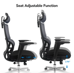 Ergonomic Office Chair BS2