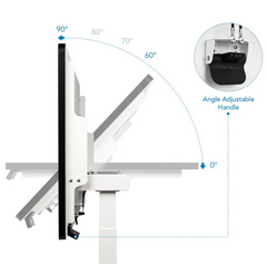 TT2 Height Adjustable Whiteboard Standing Desk