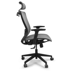 Flexispot Ergonomic Chair OC3