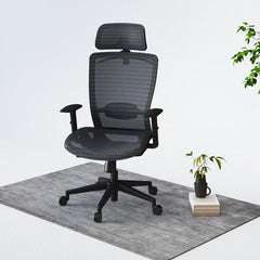 Flexispot Ergonomic Chair OC3